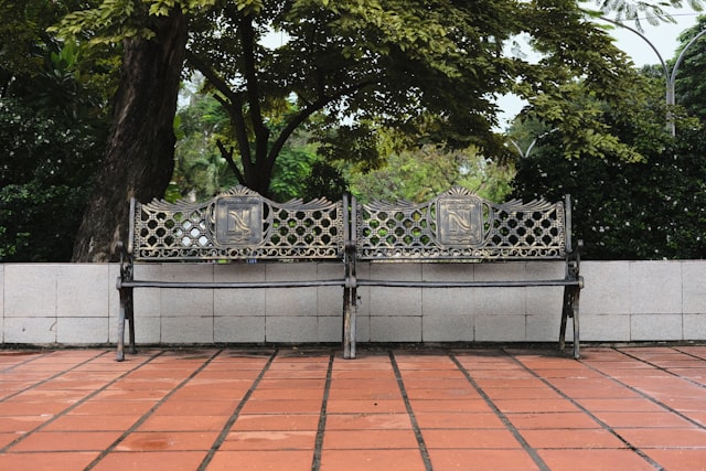 Un banc réveillé sur la Côte d'Opale