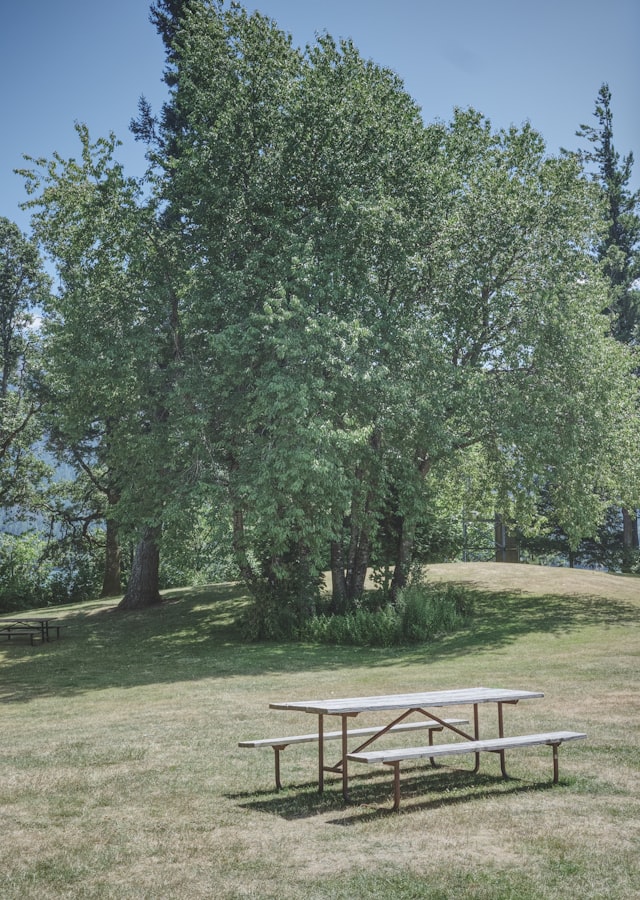 Certains bancs valent le déplacement