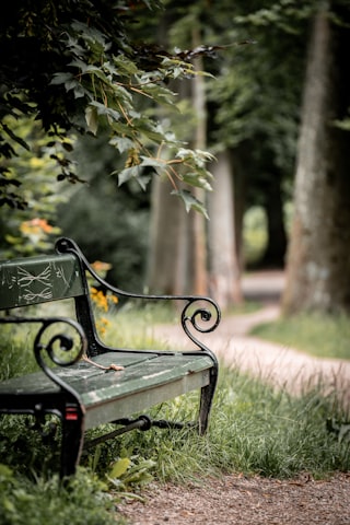 Ta collection, banc après banc